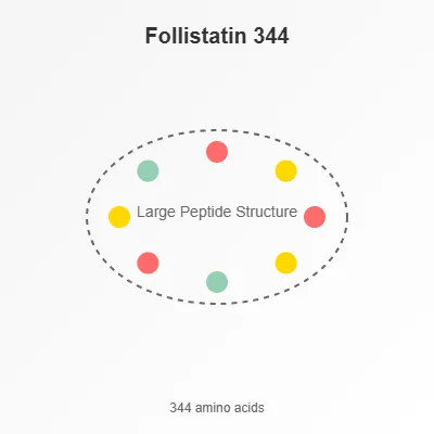 Follistatin 344