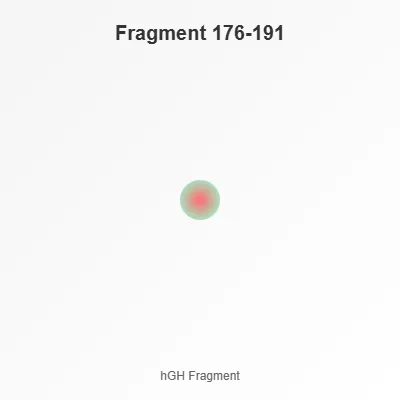 Fragment 176-191