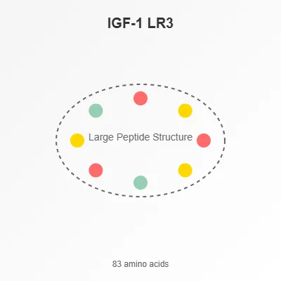 IGF 1 LR3