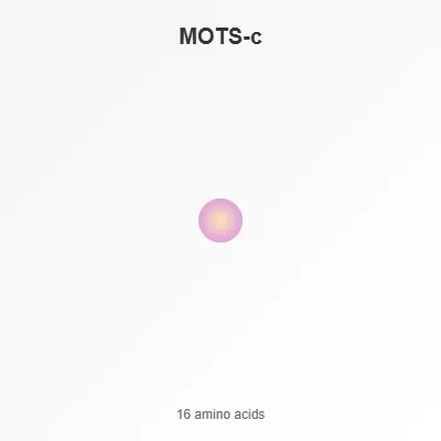 MOTS-c