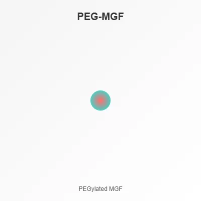 PEG-MGF
