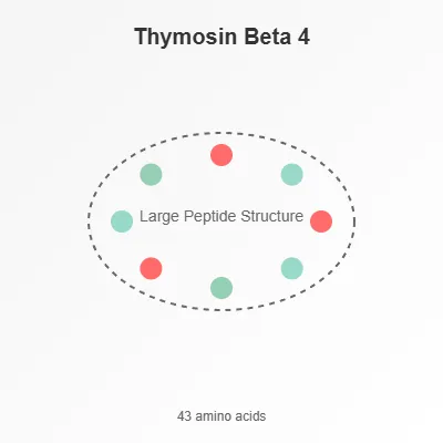 Thymosin Beta 4