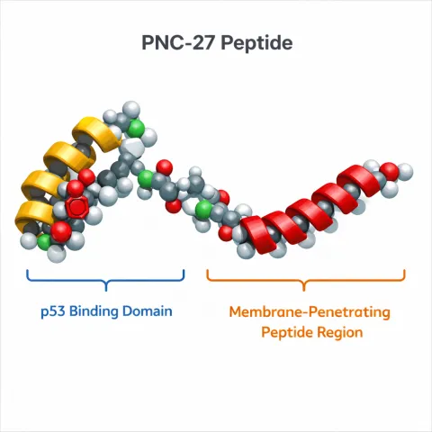 pnc-27