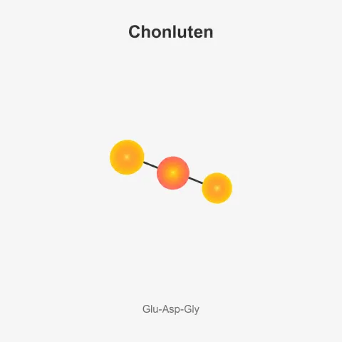 chonluten